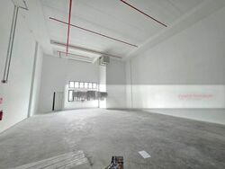 Ct Foodnex (D25), Factory #588589551